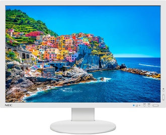 NEC PA243W