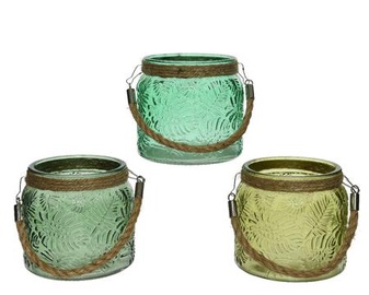 Žvakidė 865113 Multicolor