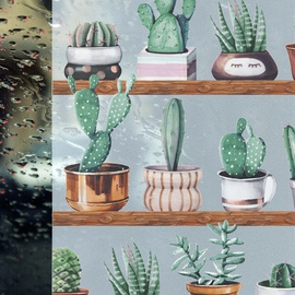 Kile CACTI, 15 m x 685 mm