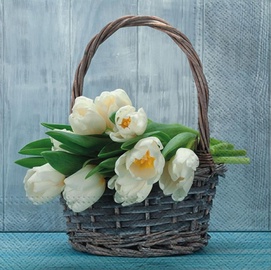 Paw Decor Collection Tulips In The Basket Napkins 33x33cm