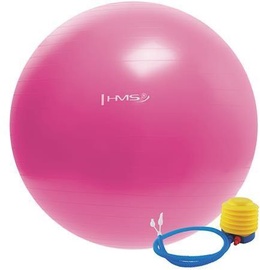 Vingrošanas bumbas HMS Gym Ball YB01 55cm Pink