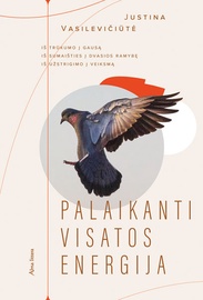 KNYGA PALAIKANTI VISATOS ENERGIJA