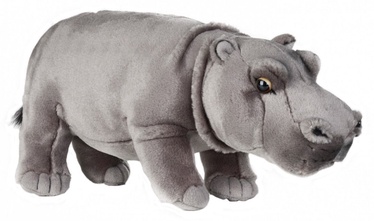 Dante National Geographic Hippo 31cm