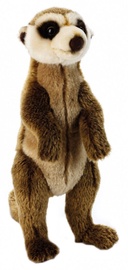 Pliušinis žaislas Dante National Geographic Meerkat, 35 cm