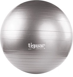 Tiguar Body Ball Safety Plus 65cm Gray
