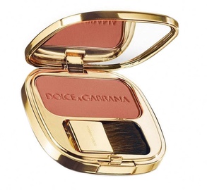 Dolce & Gabbana The Blush Luminous Cheek 5g 27