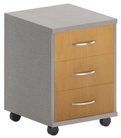 Skyland Imago TM-3 Maple/Metallic
