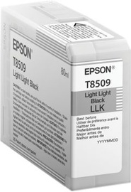 Epson T850900 Singlepack Light Light Black