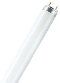 Osram Lumilux T8 Lamp 10W G13