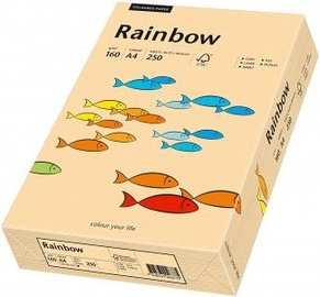 Papyrus Rainbow Paper A4 Salmon