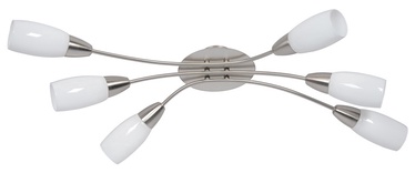Lampa Adrilux Laio Laio 6/AP-8468-06-6545, griesti, 40 W
