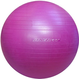 Axer Sport Anti Burst 55cm Purple A0557