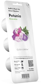 Išmanios daigyklos sėklos Click & Grow, petunijos, 3 vnt.