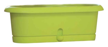 Pods kaktusiem Lotos, augstums 10,3cm, zaļš