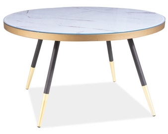 Kohvilauad Signal Meble Modern Vega B, valge/must, 800 mm x 800 mm x 450 mm