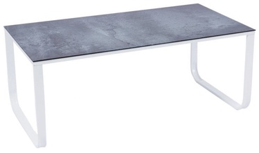 Signal Meble Coffee Table Taxi II Grey Stone