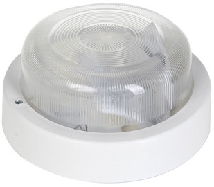 Светильник настенный Lena Lightning Surface, LED