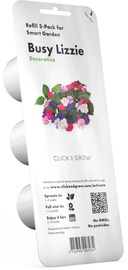 Išmanios daigyklos sėklos Click & Grow, sprigės, 40 g, 3 vnt.
