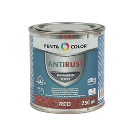 KRĀSA METĀL.VIRSM.PENTACOLOR SARK.250ML