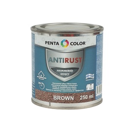 KRĀSA METĀL.VIRSM.PENTACOLOR BRŪN. 250ML