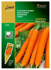 Galda burkānu sēklas Marion H