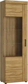 Meble Wojcik Cabinet 1D CNAV02L