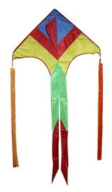 Воздушный змей, 155 см x 90 см, многоцветный