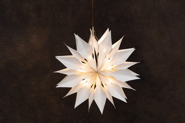 Jõuluvalgusti Finnlumor daisy 50cm