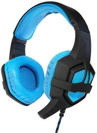 Ausinės ART Flash Illuminate Blue/Black