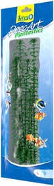 Dekoratsioon Tetra Anacharis L