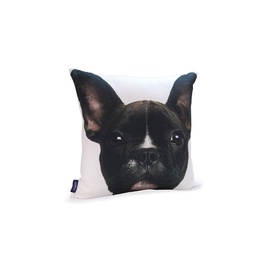 Pagalvėlė Comco Dog 1PD01, 450x450 mm