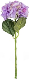 Home4you Hortensia In Gerden H54cm 83818 Lilac
