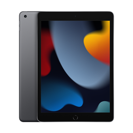 Планшет Apple iPad 10.2" Wi-Fi 64GB - Space Grey 2021