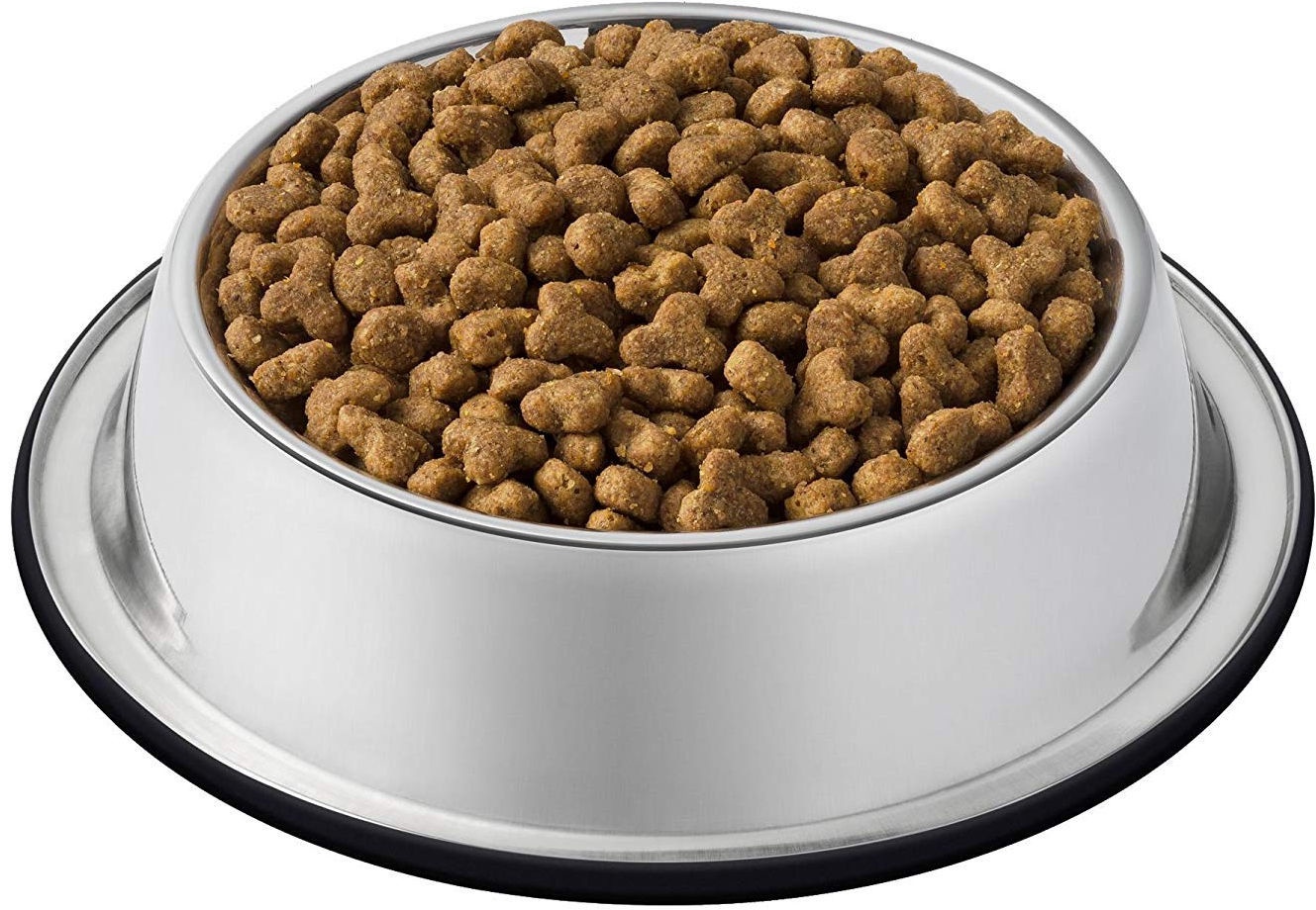 ava senior dog food