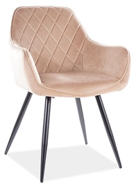 Стул для столовой Signal Meble Modern Linea Velvet, песочный