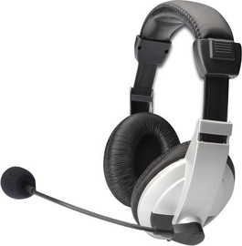 Ausinės Digitus Stereo Multimedia DA-12201