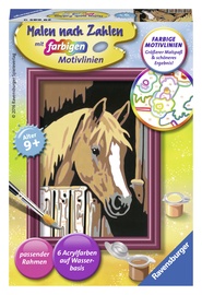 Ravensburger Painting By Numbers Horse 296859