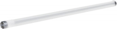 Светодиодная лампочка Actis LED, T8, 10 Вт
