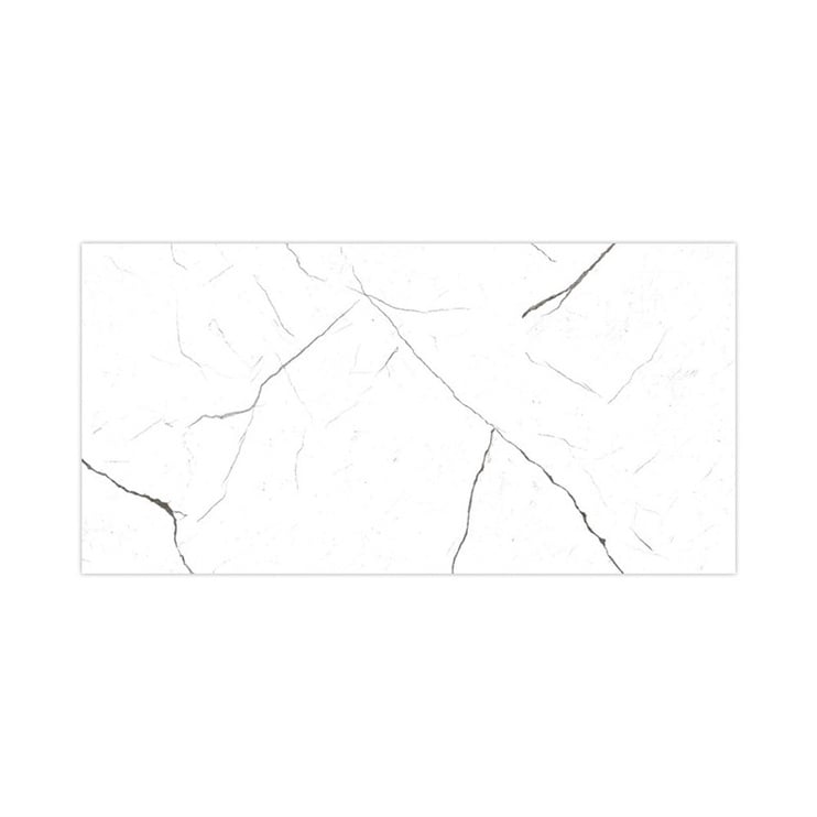 Flīzes Seramiksan Atlas White Wall Tiles 250x500mm White