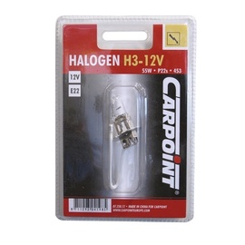 Autopirn H3 55W P22
