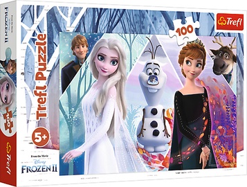 Pusle Trefl Frozen II 16418, 100 tk