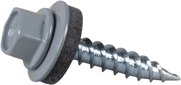 Katusekruvi terav 4,8x25mm RR22 250tk