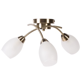 Lubinis šviestuvas Domoletti MX60374-3 60374, 3X40W, E14