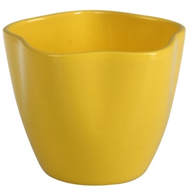 Verners Madeira Flower Pot Yellow 13cm