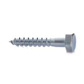 PUIDUPOLT 10.0X60 BALT ZN(100-600)