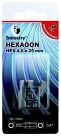 UZGALIS SEŠKAN.X-TRA CIETS HEX5,0X25 3GB