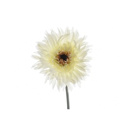 MĀKSLĪGĀ PUĶE GERBER WHITE 800686