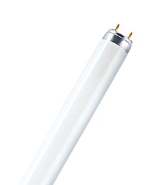 Liuminescencinė lempa Narva T8, 58W, G13, 4000K, 5250lm
