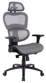 Signal Meble Office Chair Q-488 Grey