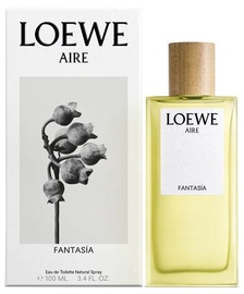 Tualettvesi Loewe Aire Fantasia, 100 ml
